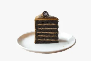 Chocolate Mathilde Cake Slice